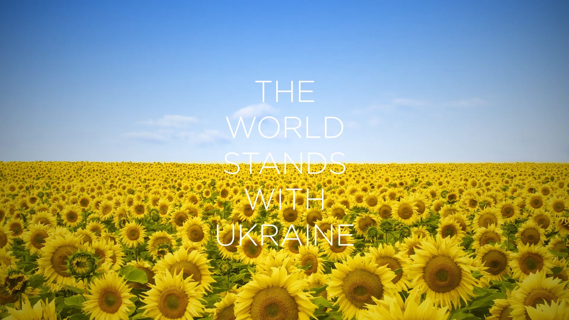 The World Stands with Ukraine